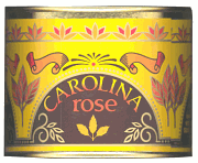 Carolina Rose